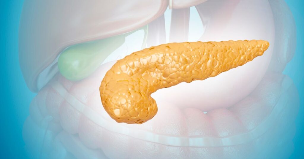 Pâncreas: anatomia, funções e principais doenças - Guia completo 1 Pâncreas: anatomia, funções e principais doenças - Guia completo